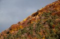  forêt de montagne, automne, Embrunais, France, paysage, Alpes, montagne 