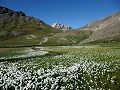  col Agniel, linaigrette, paysage, Hautes Alpes, Alpes, montagne 